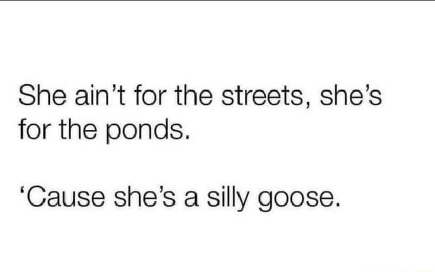 She aint for the streets shes for the ponds Cause shes a silly goose