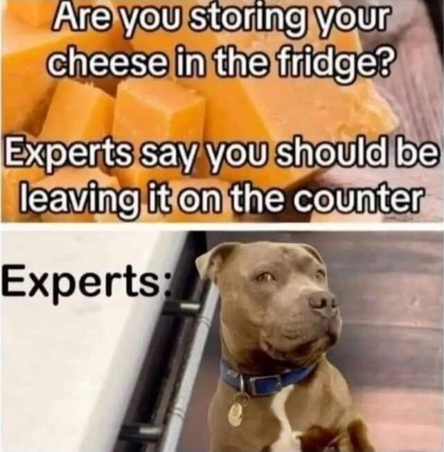 Are you storing your cheese in the fridge? Experts say you should be leaving it on the counter. Experts:
