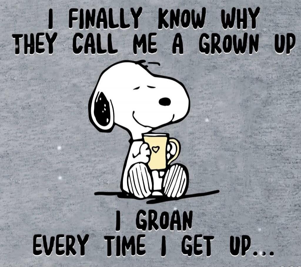 I FINALLY KNOW WHY THEY CALL ME A GROWN UP I GROAN EVERY TIME I GET UP...
