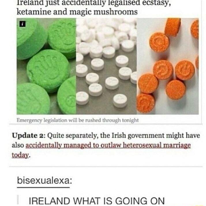 ireiand just acaaentally iegalised ecsiasy ketamine and magic mushrooms A Update 2 Quite separately the Irish government might have also acci today bisexualexa IRELAND WHAT IS GOING ON