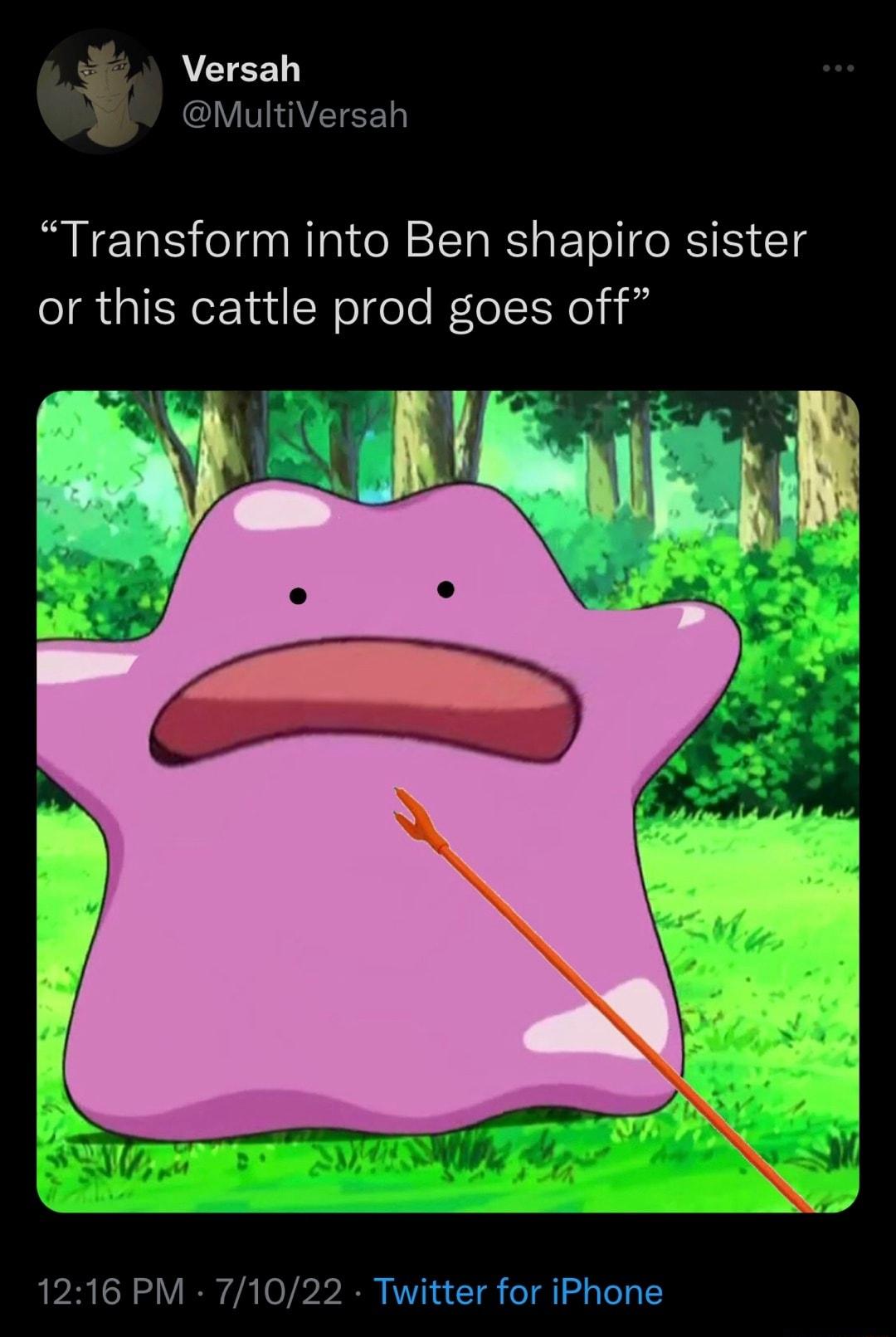 Versah MultiVersah Transform into Ben shapiro sister or this cattle prod goes off 1216 PM 71022 Twitter for iPhone