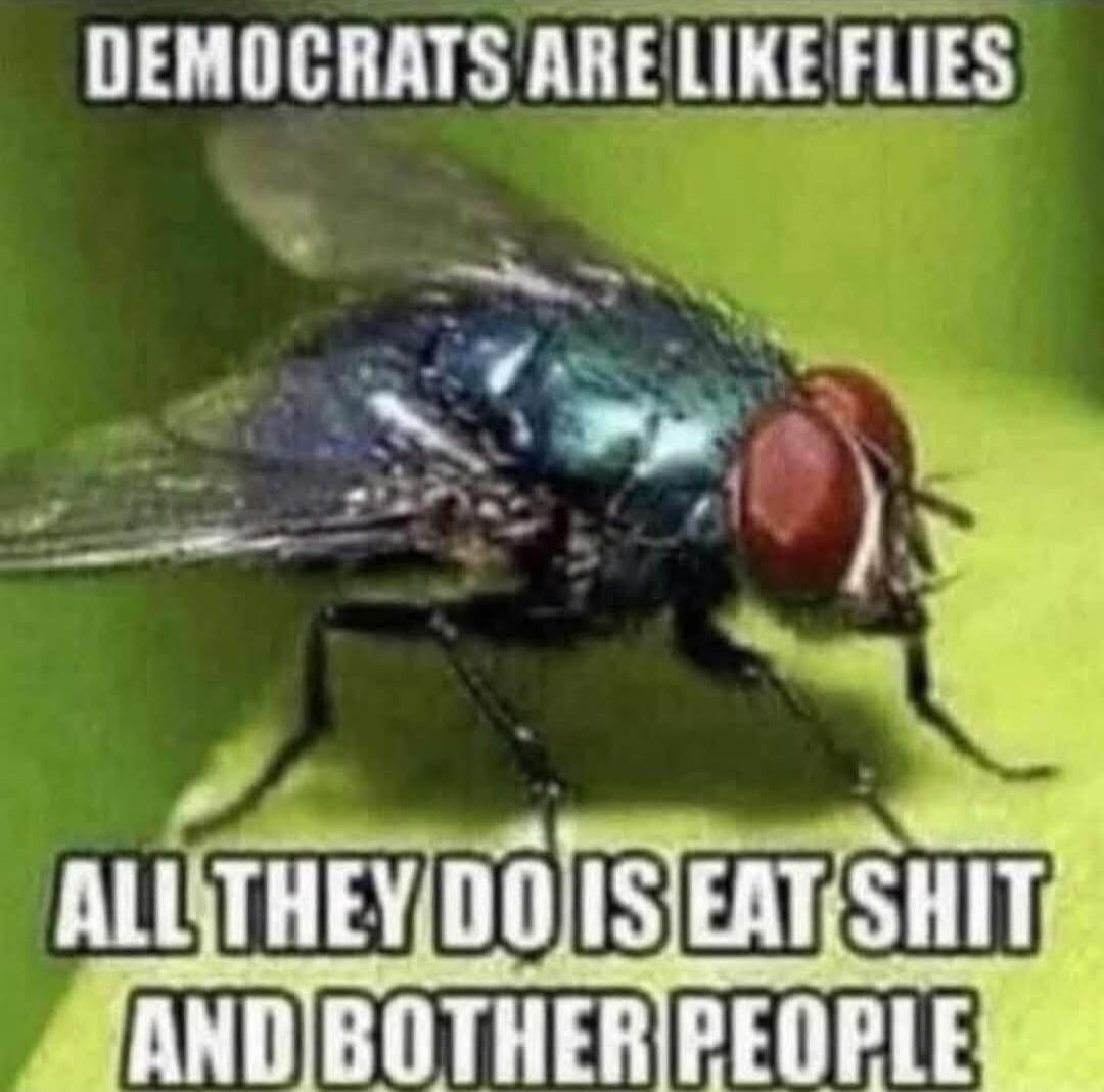 DEMOCRATS ARE LIKE FLIES ALL THEY DO IS EAT SHIT AND BOTHER PEOPLE