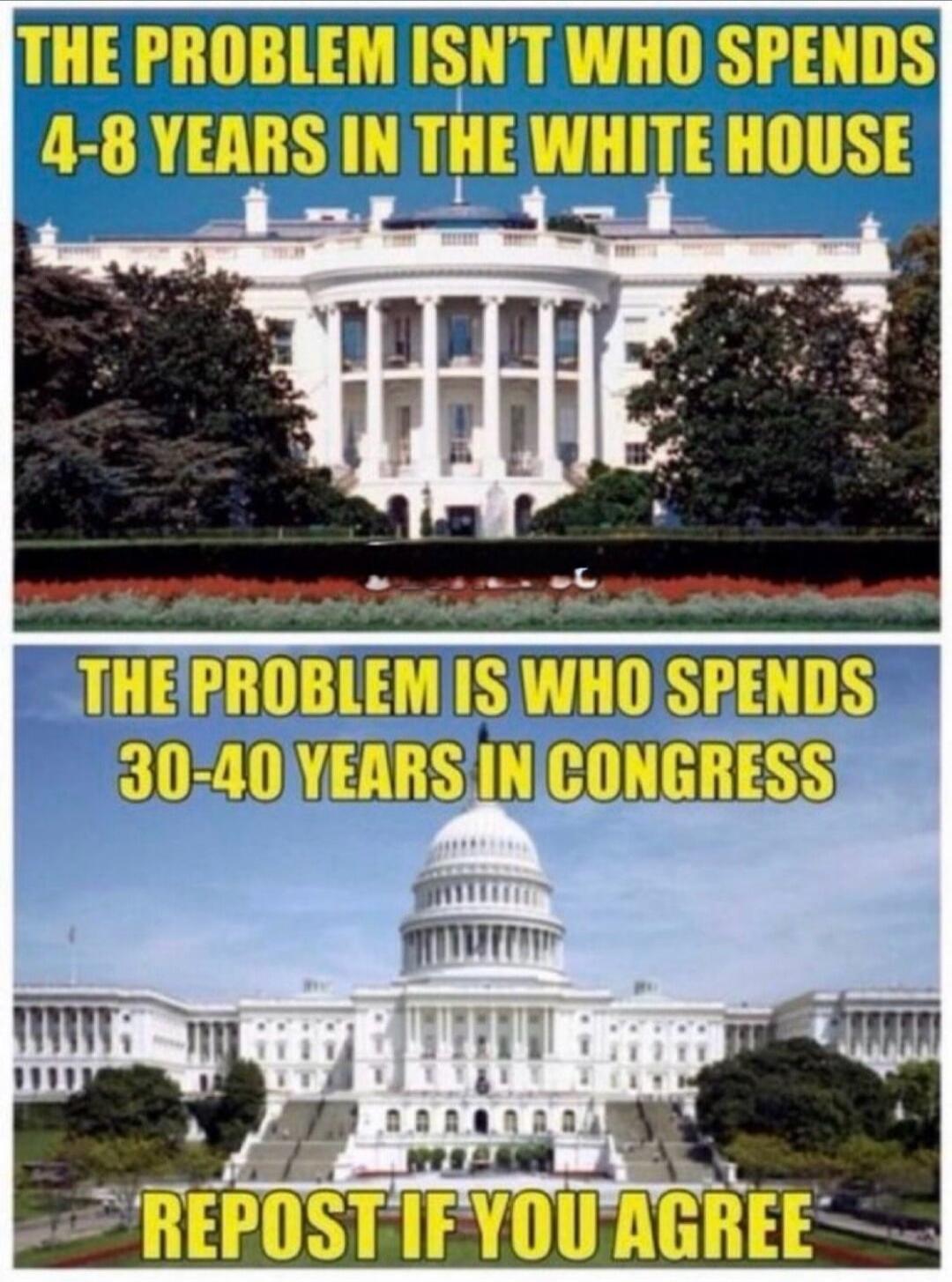 THE PROBLEM ISN'T WHO SPENDS 4-8 YEARS IN THE WHITE HOUSE
THE PROBLEM IS WHO SPENDS 30-40 YEARS IN CONGRESS
REPOST IF YOU AGREE
