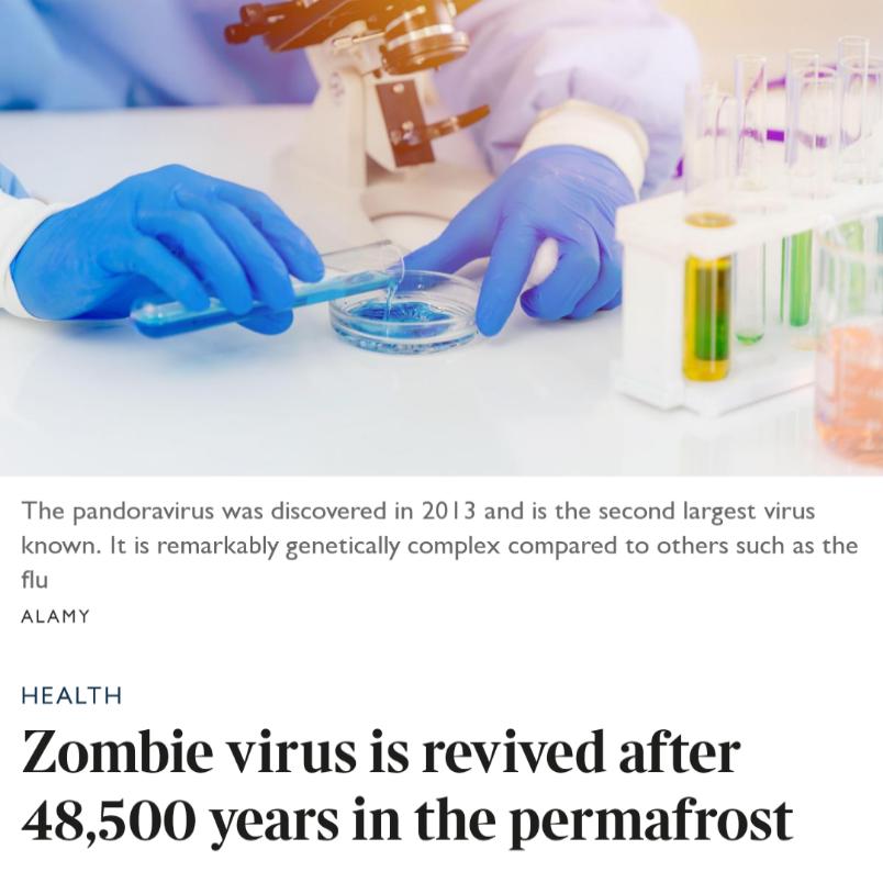 The pandoravirus was discovered in 2013 and is the second largest virus known It is remarkably genetically complex compared to others such as the fu ALamy Zombie virus is revived after 48500 years in the permafrost