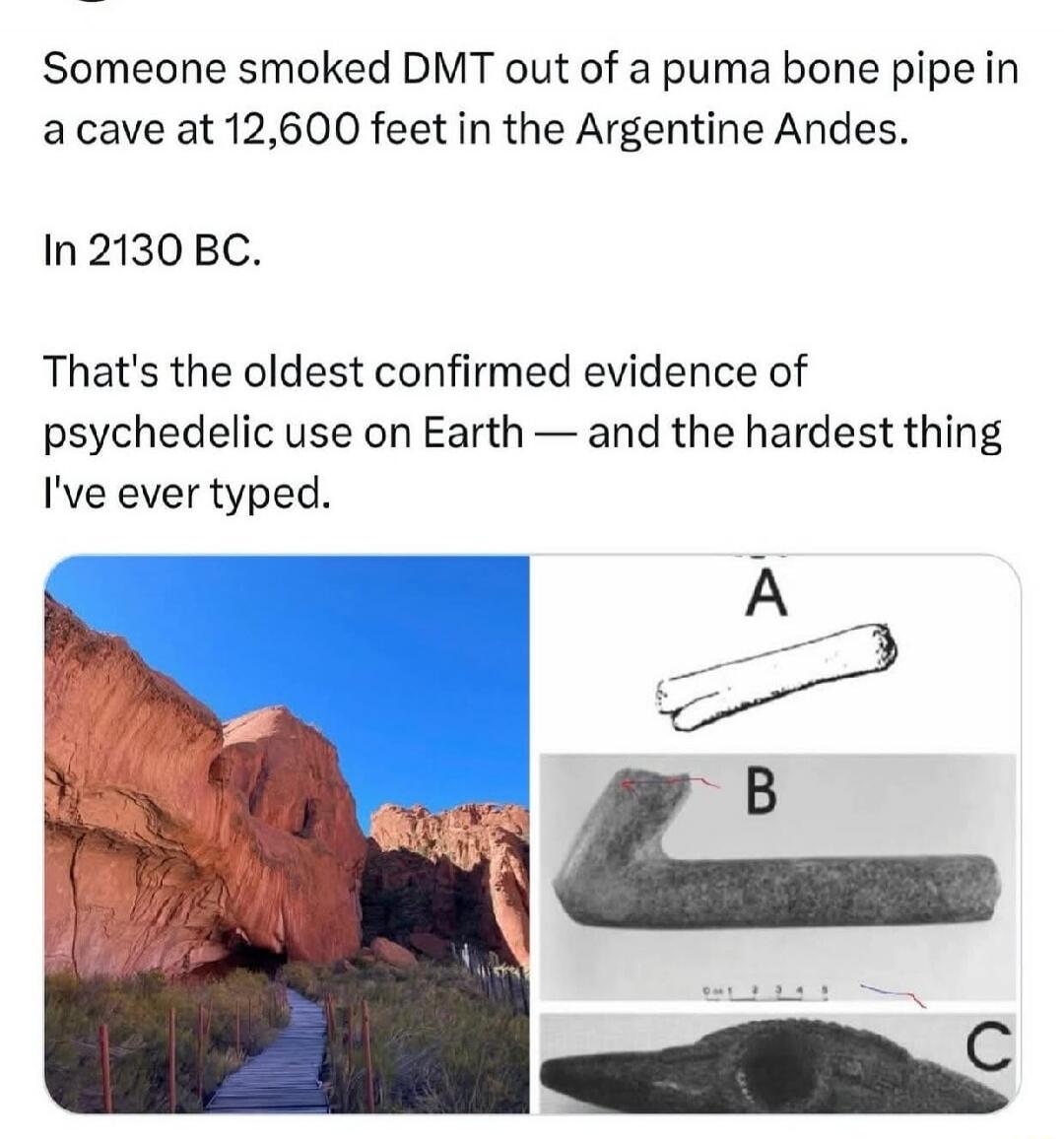 Someone smoked DMT out of a puma bone pipe in a cave at 12,600 feet in the Argentine Andes.

In 2130 BC.

That's the oldest confirmed evidence of psychedelic use on Earth — and the hardest thing I've ever typed.