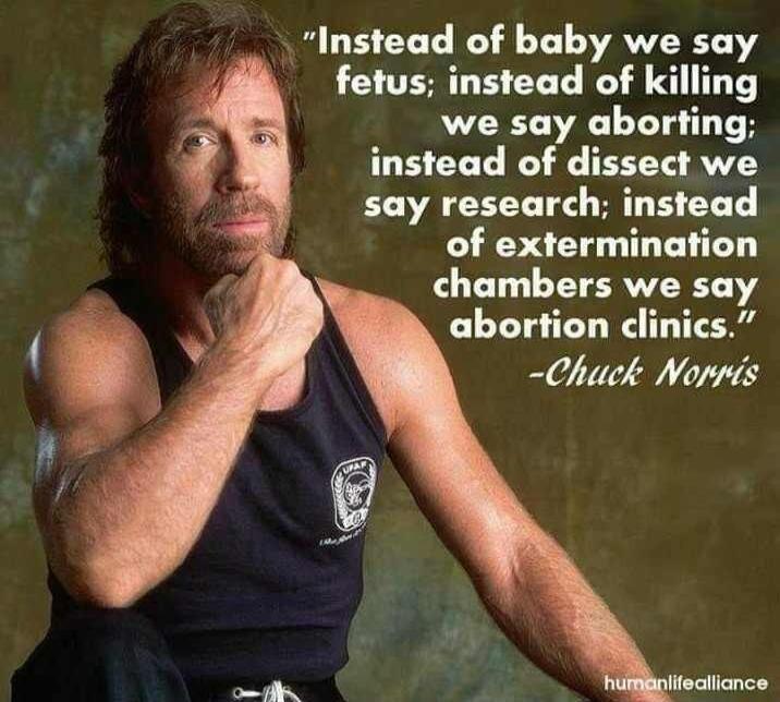 Instead of baby we say fetus instead of killing we say aborting instead of dissect we say research instead of extermination chambers we say abortion clinics Chuck Nopis