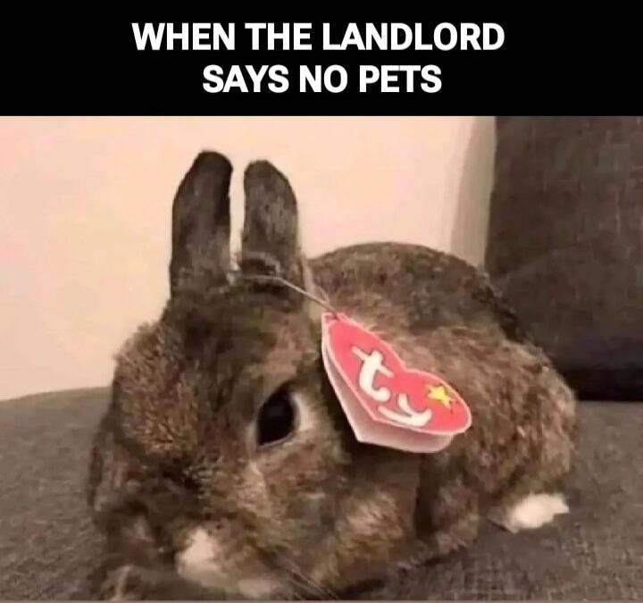WHEN THE LANDLORD SAYS NO PETS