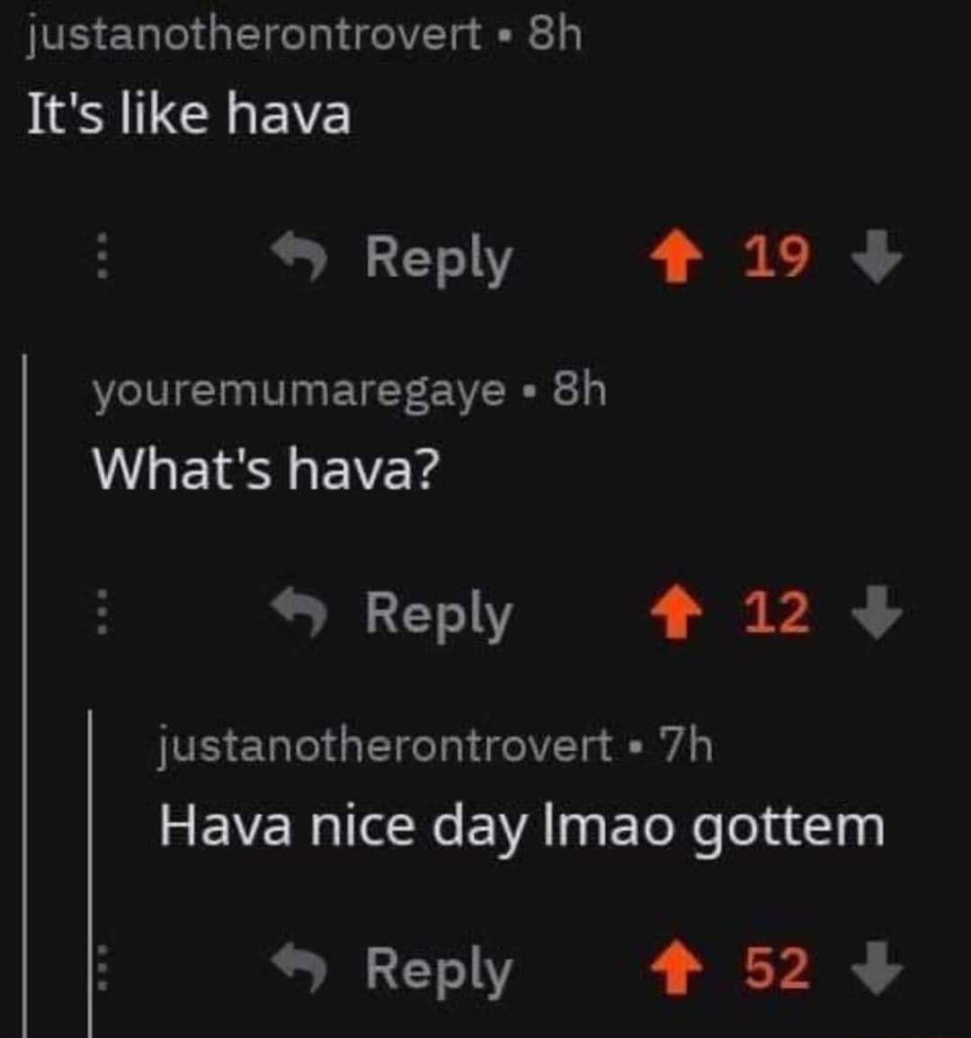 justanotherontrovert 8h IS R EVE Reply L TR 2 youremumaregaye 8h Whats hava Reply 1239 B EGTIGECTI T T FEVE RGN EWA T ETeReToladly Reply 4523