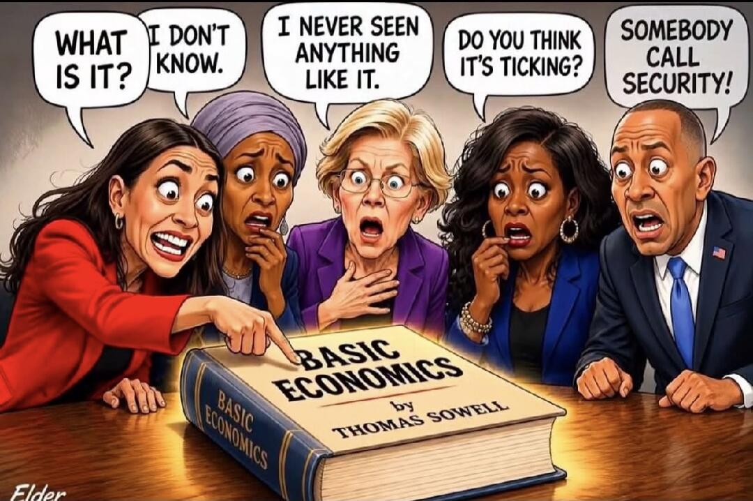 WHAT IS IT? I DON'T KNOW. I NEVER SEEN ANYTHING LIKE IT. DO YOU THINK IT'S TICKING? SOMEBODY CALL SECURITY! BASIC ECONOMICS by THOMAS SOWELL. Elder.