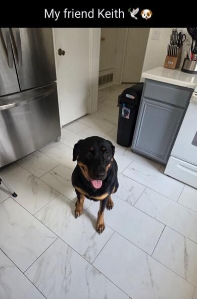 My friend Keith 🕊️🐶