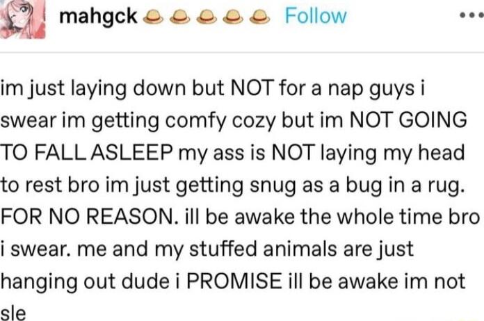 Ql mahgck Follow im just laying down but NOT for a nap guys i swear im getting comfy cozy but im NOT GOING TO FALL ASLEEP my ass is NOT laying my head to rest bro im just getting snug as a bug in a rug FOR NO REASON ill be awake the whole time bro i swear me and my stuffed animals are just hanging out dude i PROMISE ill be awake im not gle
