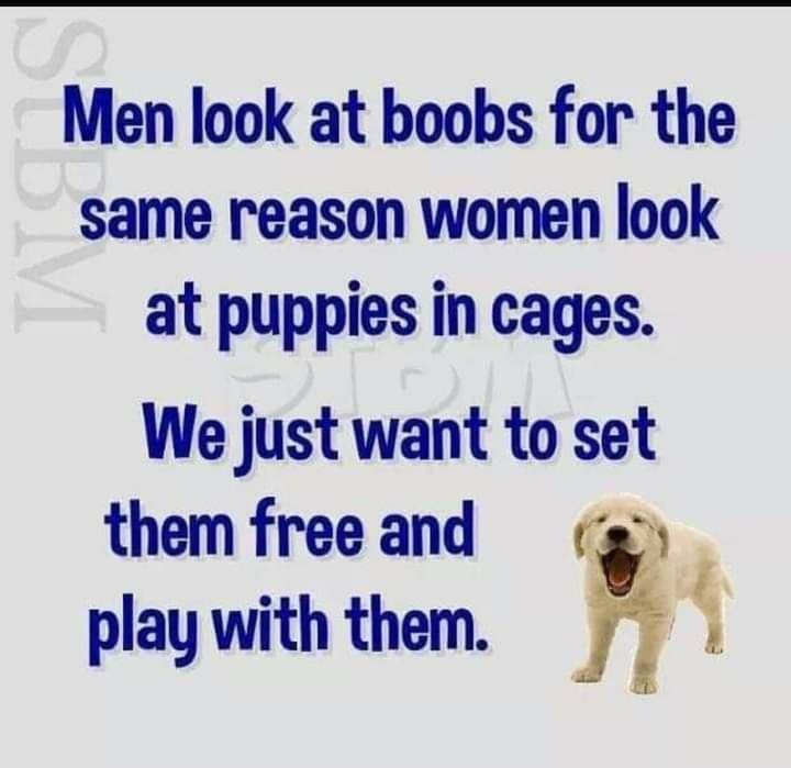 Men look at boobs for the same reason women look at puppies in cages We just want to set them free and play with them