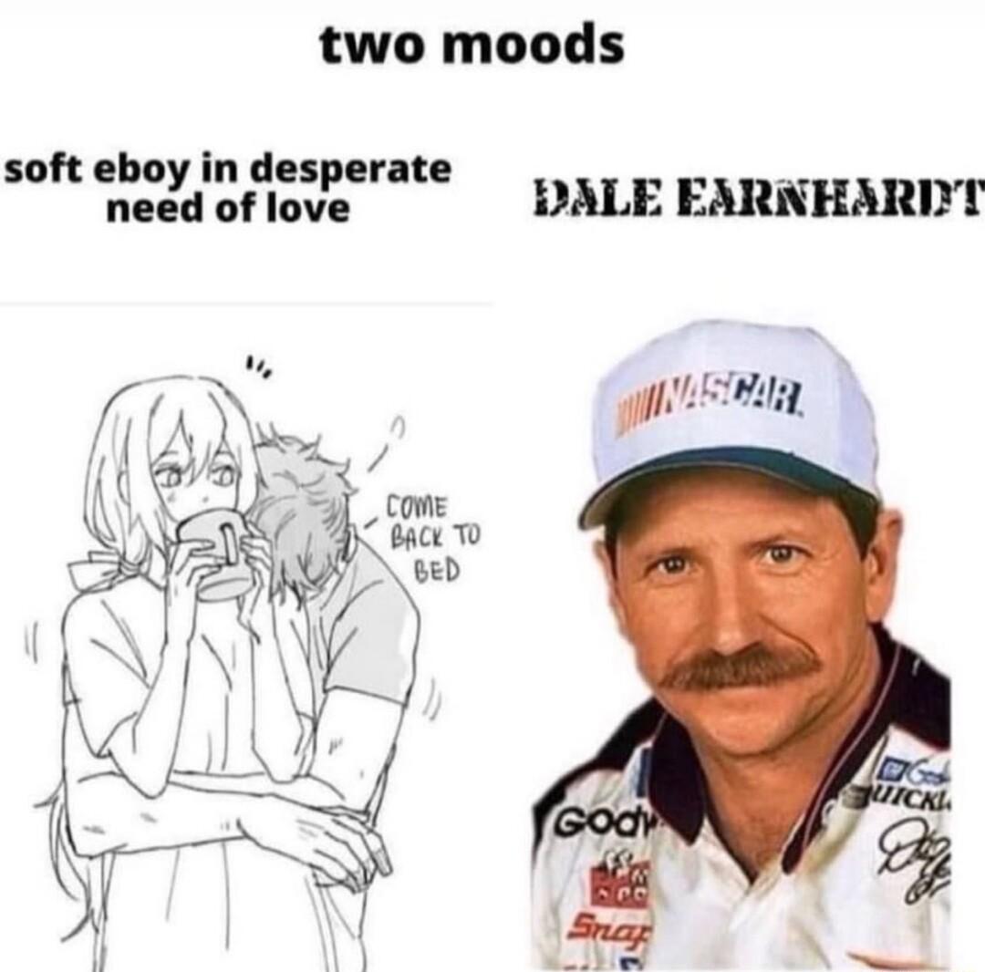 soft toyd i Ieran DALE EARNHARDT R