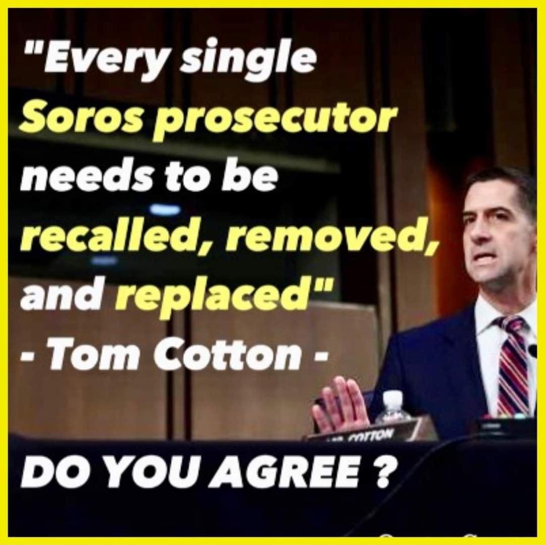 Every single Soros prosecutor needs to be recalled removed T L NG ETCY Tom Cotton DO YOU AGREE