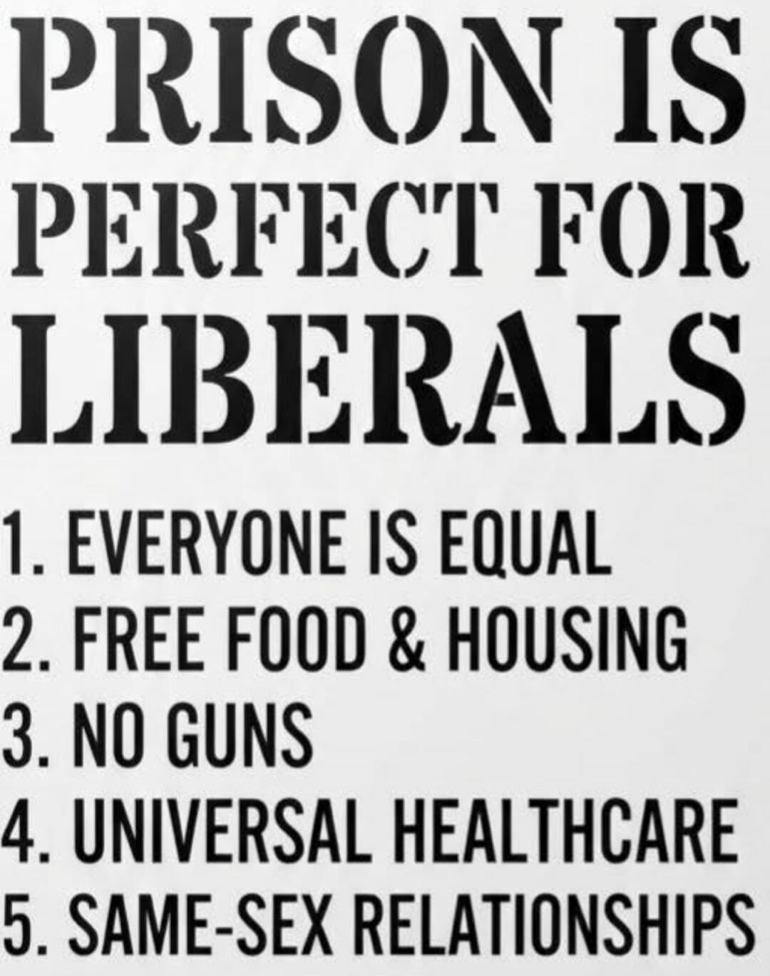 PRISON IS PERFECT FOR LIBERALS. 1. EVERYONE IS EQUAL. 2. FREE FOOD & HOUSING. 3. NO GUNS. 4. UNIVERSAL HEALTHCARE. 5. SAME-SEX RELATIONSHIPS.
