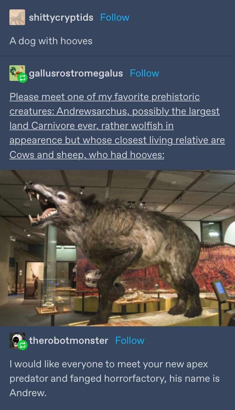 B shittycryptids Follow A dog with hooves agallusrostromegalus Follow Please meet one of my favorite prehistoric creatures Andrewsarchus possibly the largest land Carnivore ever rather wolfish in appearence but whose closest living relative are OFeNVicWeTalo I alYe oY aleN aFoTo NaleolVIEoH cherobotmonster Follow I would like everyone to meet your new apex oIe el gTole R ETpTe eTe MaToT g golg E T