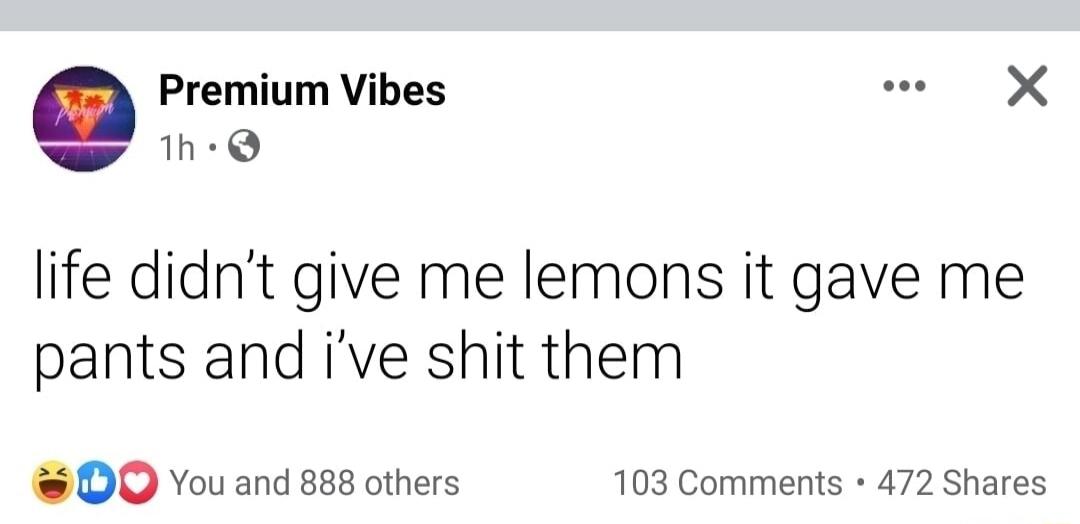 life didn’t give me lemons it gave me pants and i’ve shit them