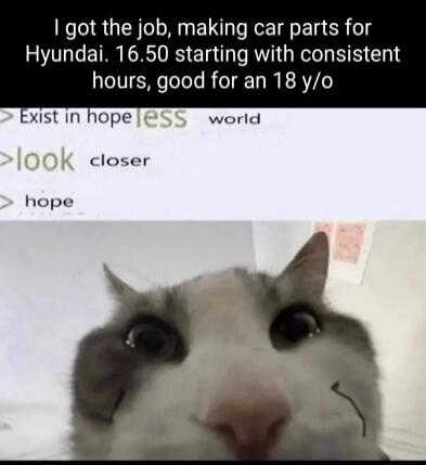 got the job making car parts for Hyundai 1650 starting with consistent hours good for an 18 yo xist in hope closer hope