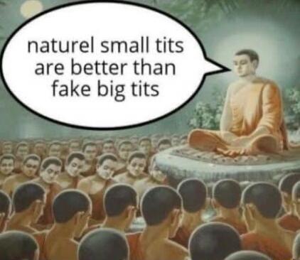 naturel small tits are better than fake big tits