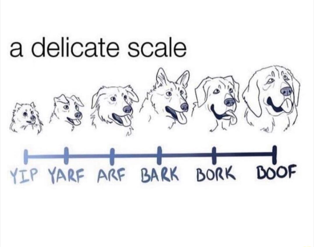 a delicate scale A R P T YIP YARF ARE BARK BORK DOOF