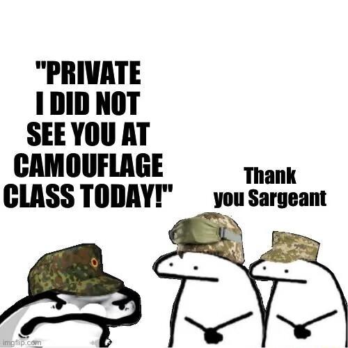 PRIVATE 1DID NOT SEE YOU AT CAMOUFLAGE Thank CLASS TODAY youSargeant y S35