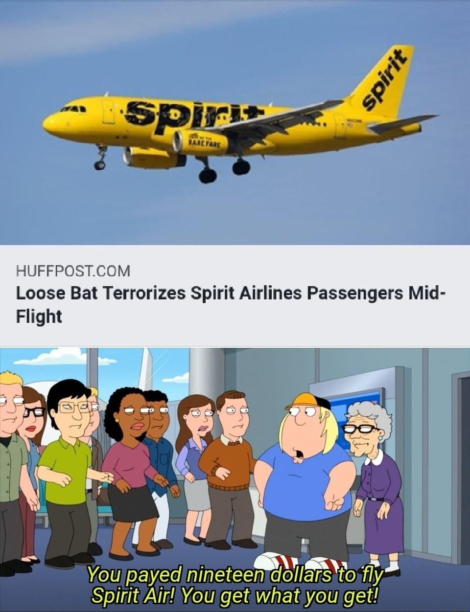 HUFFPOSTCOM Loose Bat Terrorizes Spirit Airlines Passengers Mid Flight 1 o Youlpayed ninetee N ARy f SpiritAirYouget what you get