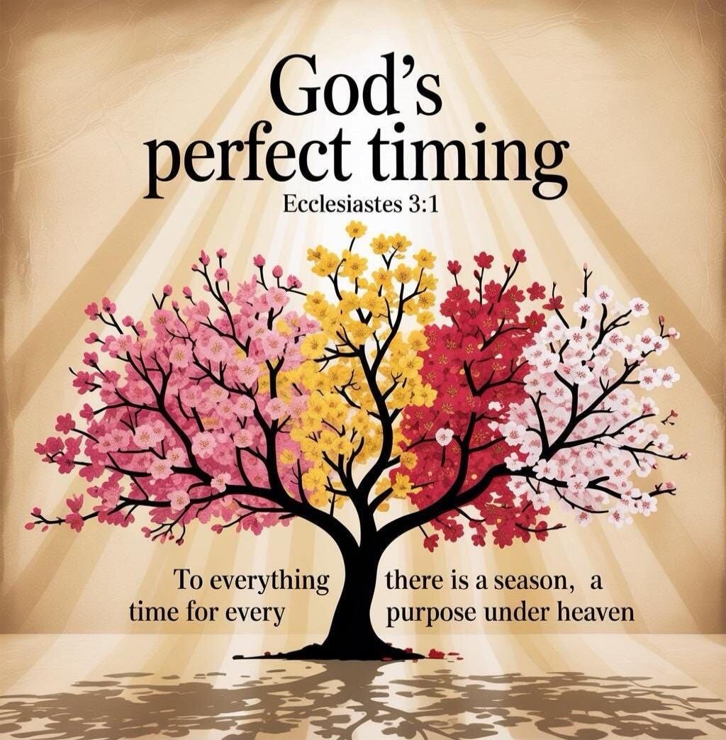 God's perfect timing Ecclesiastes 3:1 To everything time for every there is a season, a purpose under heaven