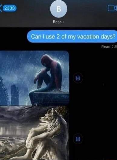 Can I use 2 of my vacation days?
Boss