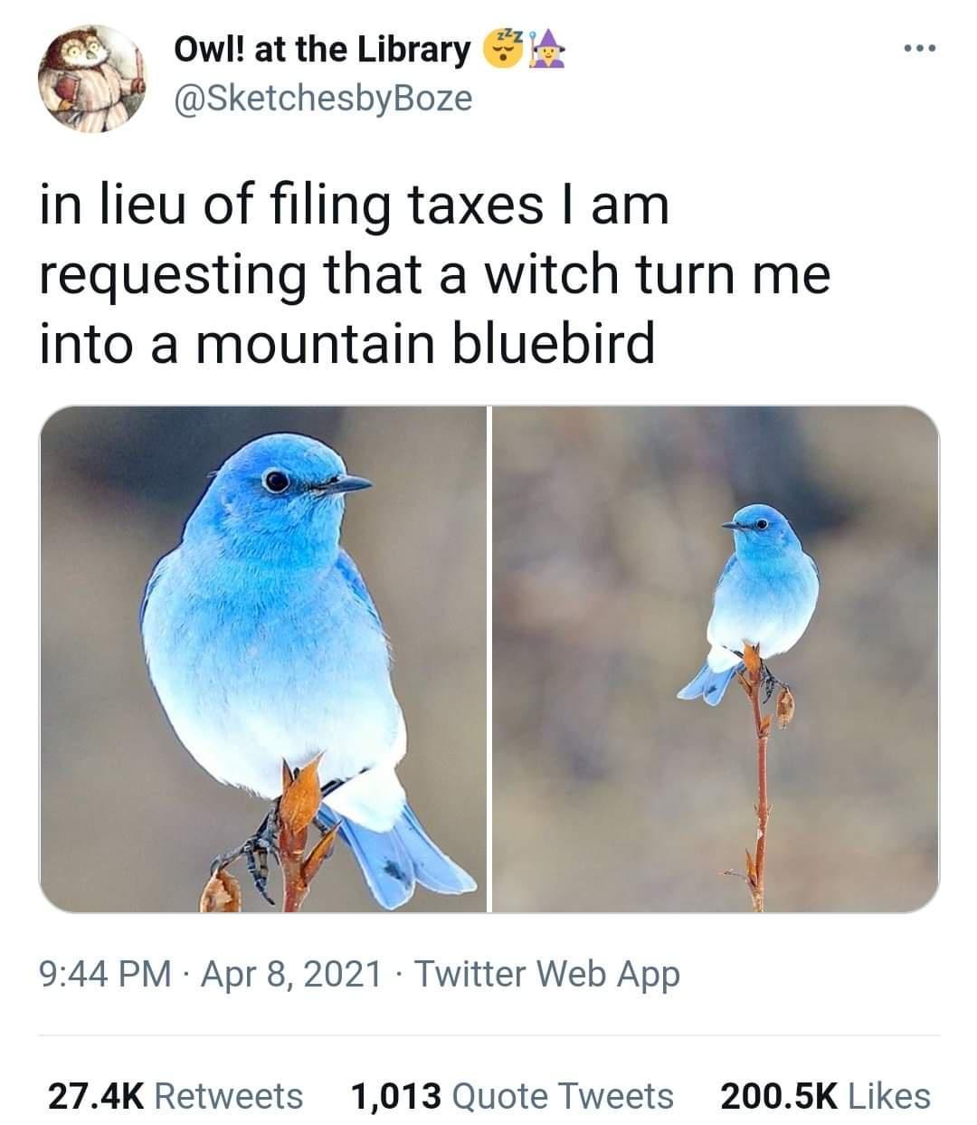 owl at the Library 4 SketchesbyBoze in lieu of filing taxes am requesting that a witch turn me into a mountain bluebird 944 PM Apr 8 2021 Twitter Web App 274K Retweets 1013 Quote Tweets 2005K Likes