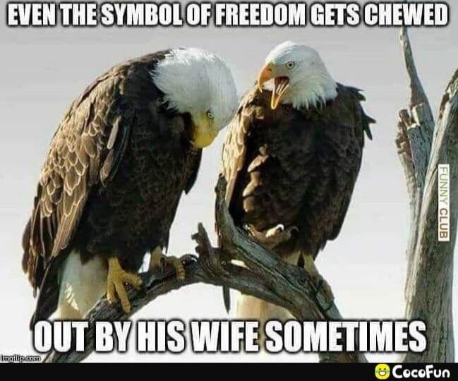 EVEN THE SYMBOL OF FREEDOM GETS CHEWED OUT BY HIS WIFE SOMETIMES