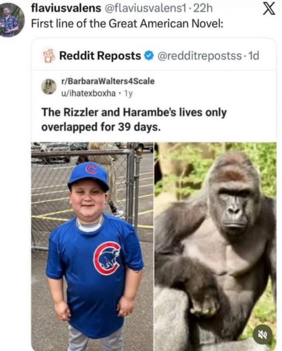 First line of the Great American Novel:\nReddit Reposts @redditreposts: The Rizzler and Harambe's lives only overlapped for 39 days. [Images: a young boy in a Cubs shirt and a gorilla]