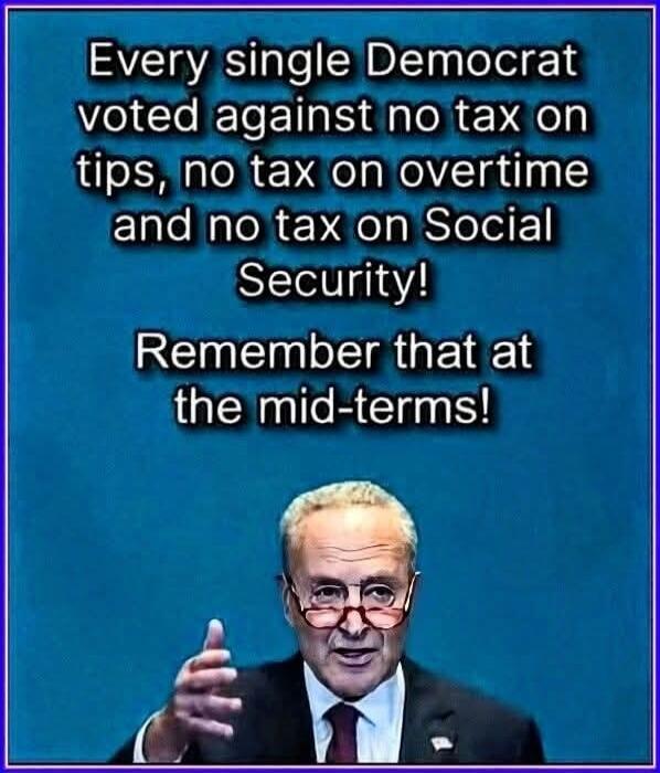 Every single Democrat voted against no tax on tips, no tax on overtime and no tax on Social Security! Remember that at the mid-terms!