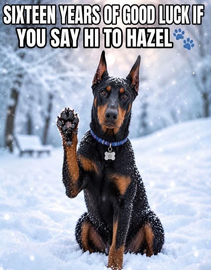 SIXTEEN YEARS OF GOOD LUCK IF YOU SAY HI TO HAZEL