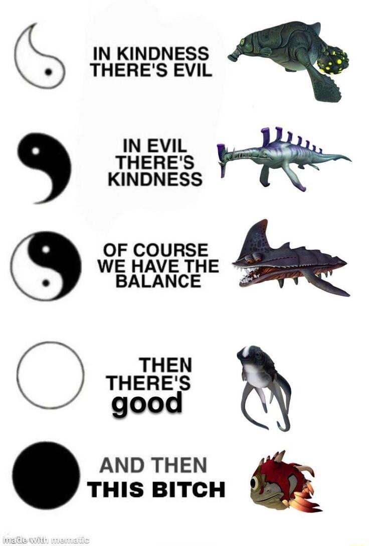 IN EVIL THERES KINDNESS IN KINDNESS THERES EVIL OF COURSE WE HAVE THE BALANCE 9 9 sy Sme O N AND THEN THIS BITCH