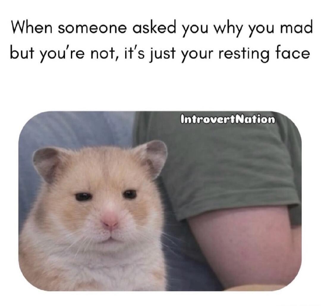 When someone asked you why you mad but you're not, it's just your resting face IntrovertNation