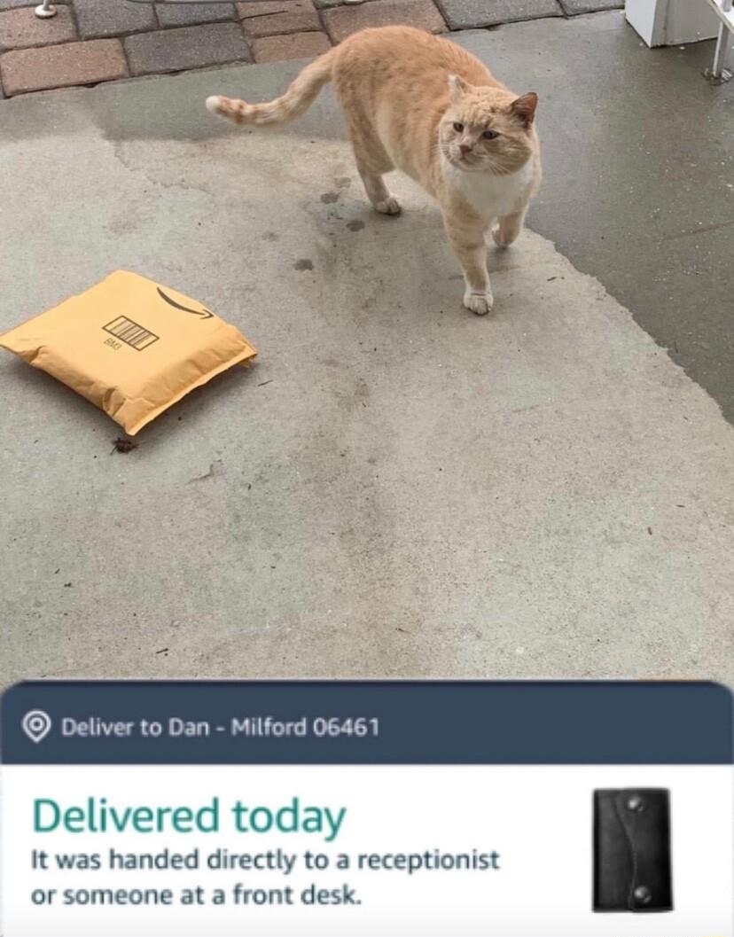 Delivered today It was handed directly to a receptionist or someone at a front desk