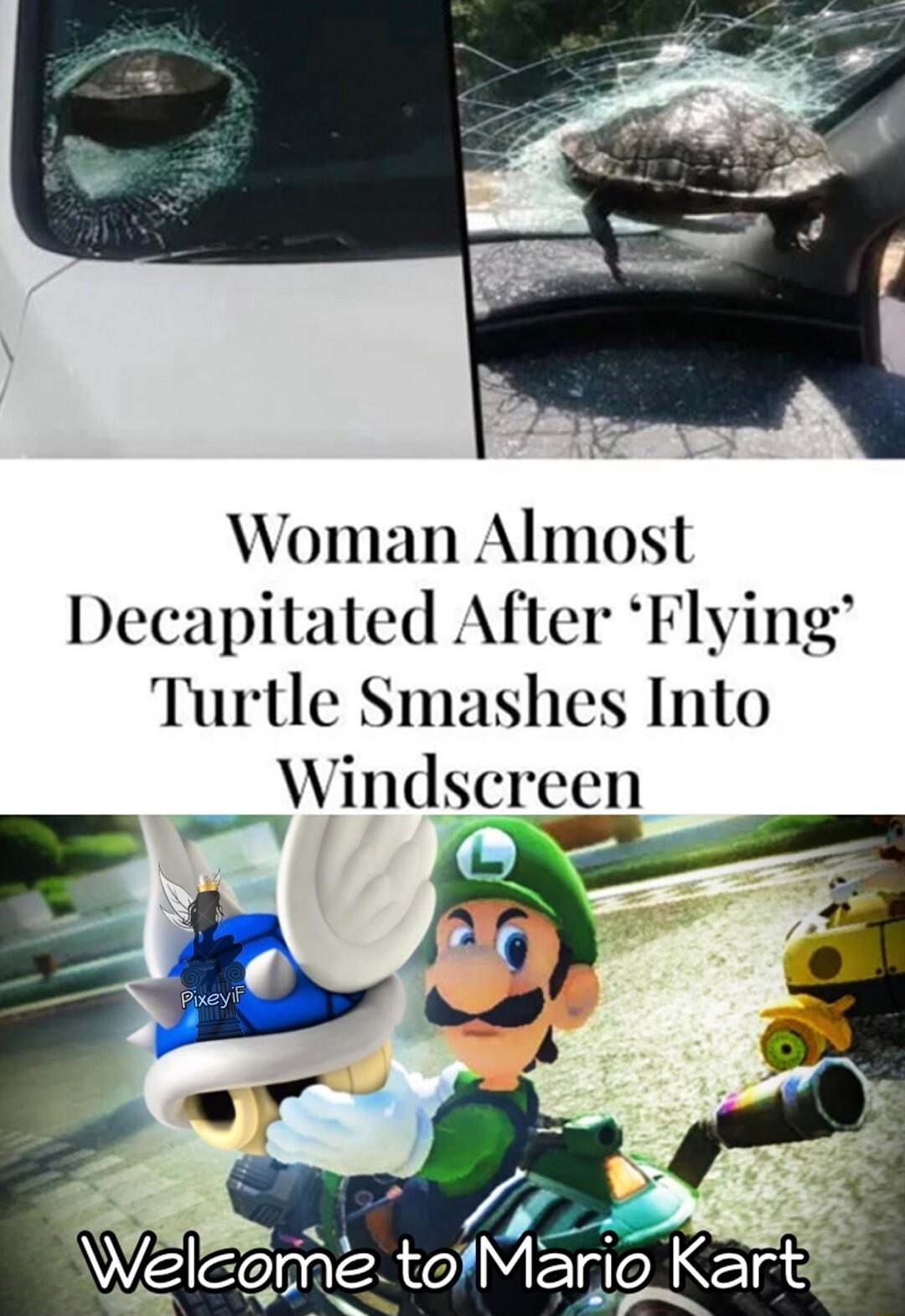 Woman Almost Decapitated After Flying Turtle Smashes Into W indscreen WelcametofMarlo Kart