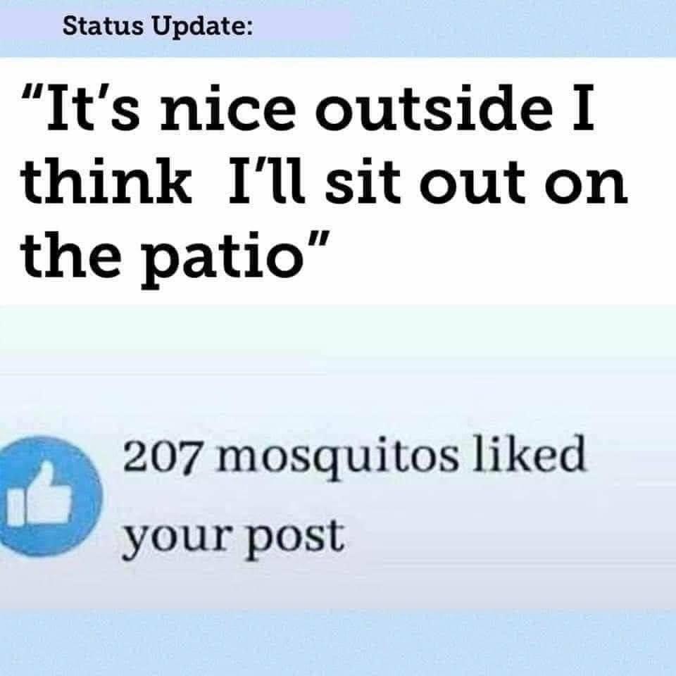 Status Update Its nice outside I think Ilsit outon the patio D 207 mosquitos liked your post