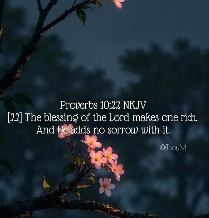 Proverbs 10:22 NKJV
[2] The blessing of the Lord makes one rich, And He adds no sorrow with it.