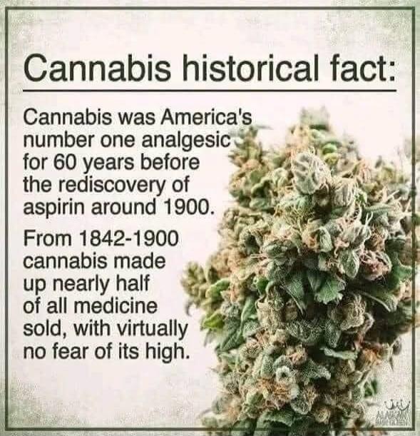 Cannabis historical fact: Cannabis was America's number one analgesic for 60 years before the rediscovery of aspirin around 1900. From 1842-1900 cannabis made up nearly half of all medicine sold, with virtually no fear of its high.