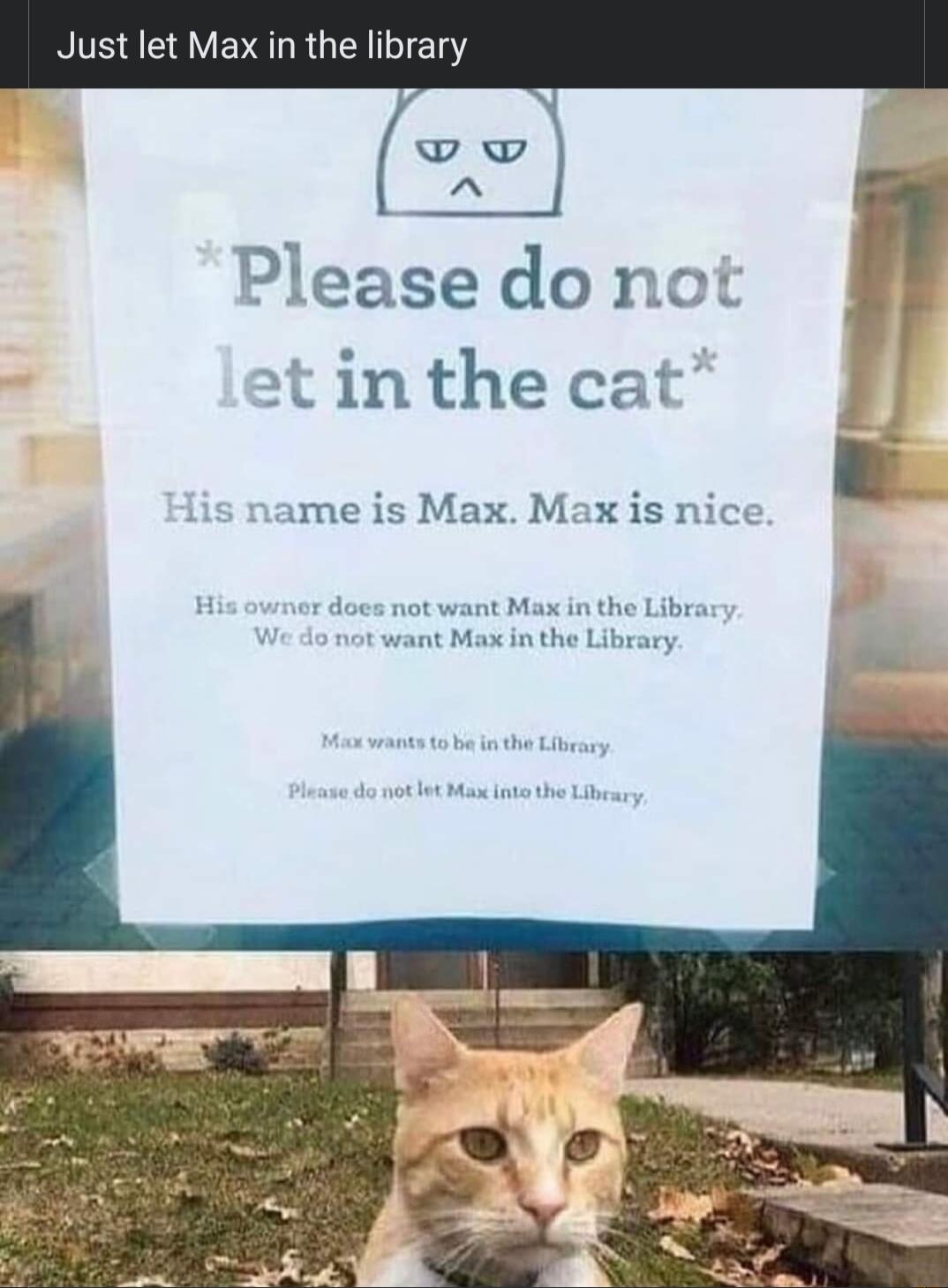 Just let Max in the library Pleasedonot ot in the cat ame is Max Max is nice 2 not want M want Max in