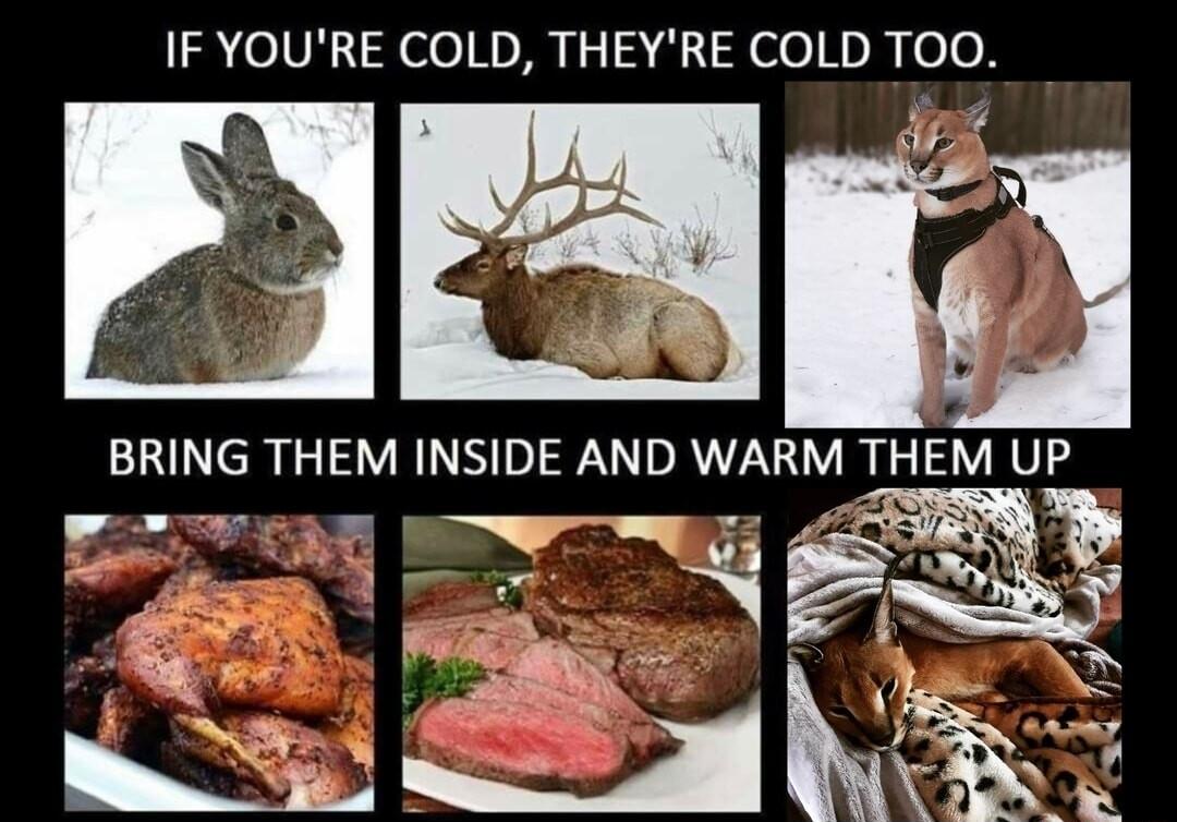 elVRHHelol Iy 1241 Helor y o0 BRING THEM INSIDE AND WARM THEM UP