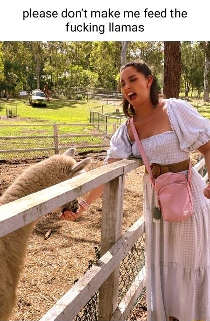 please dont make me feed the fucking llamas