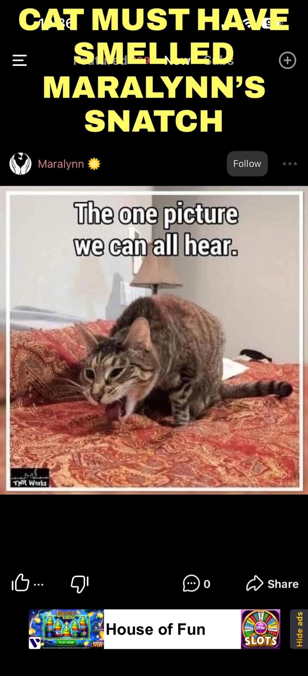 CAT MUST HAVE SMELLED MARALYNN'S SNATCH. The one picture we can all hear.