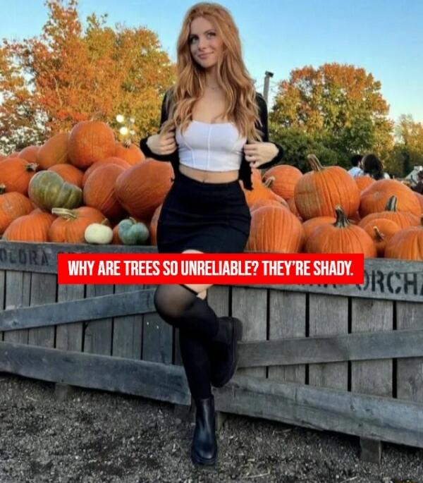 WHY ARE TREES SO UNRELIABLE? THEY'RE SHADY.