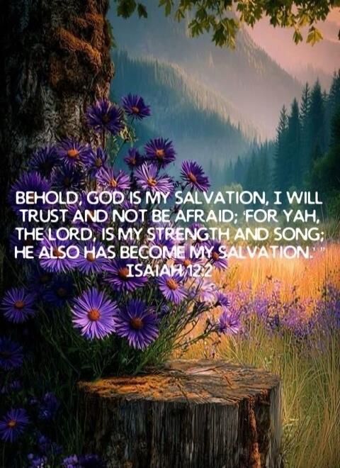 Behold, God is my salvation, I will trust and not be afraid; for Yah, the Lord, is my strength and song; He also has become my salvation. Isaiah 12:2