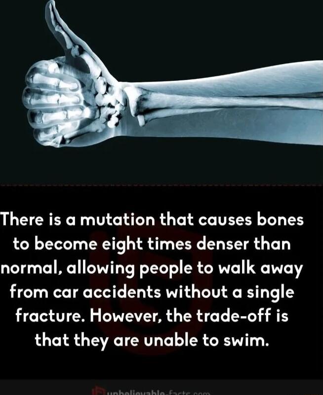 There is a mutation that causes bones to become eight times denser than normal allowing people to walk away from car accidents without a single LCEITEN DIVEVE AL ERIE L IR that they are unable to swim