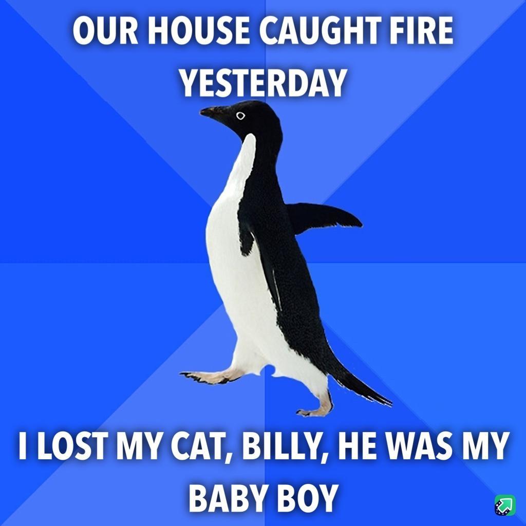 LOST MY CAT BILLY HE WAS MY