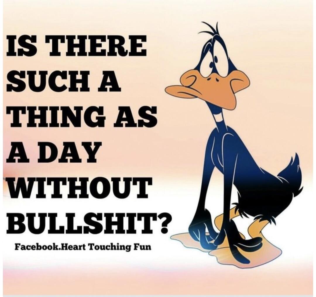 IS THERE SUCH A THING AS A DAY WITHOUT BULLSHIT? Facebook.Heart Touching Fun