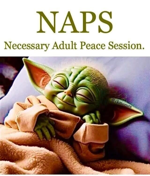 NAPS Necessary Adult Peace Session.
Session ID: 1097429.